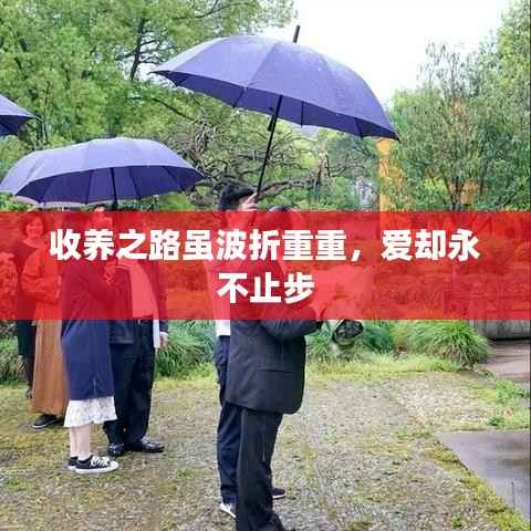 收养之路虽波折重重，爱却永不止步