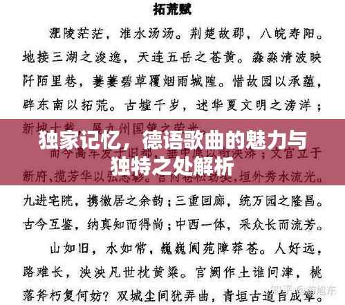 独家记忆,德语歌曲的魅力与独特之处解析