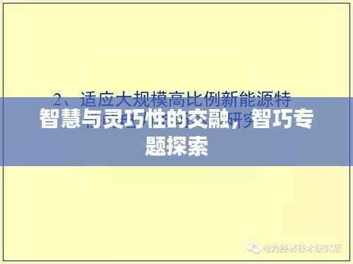 智慧与灵巧性的交融,智巧专题探索