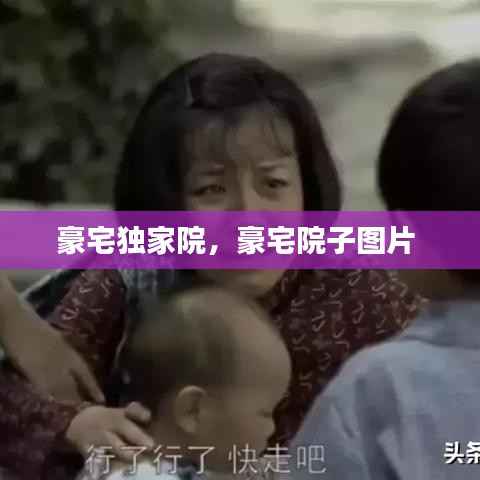 豪宅独家院,豪宅院子图片