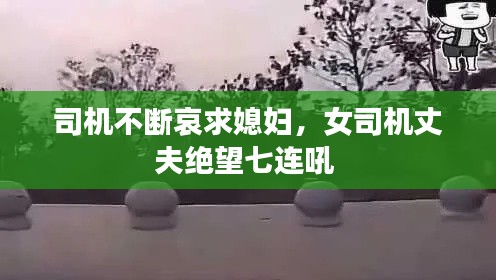 司机不断哀求媳妇,女司机丈夫绝望七连吼