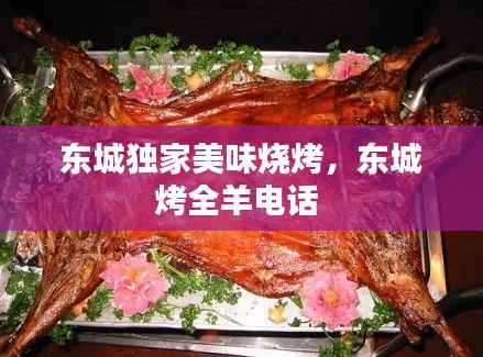 东城独家美味烧烤,东城烤全羊电话