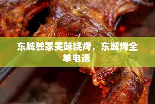 东城独家美味烧烤,东城烤全羊电话
