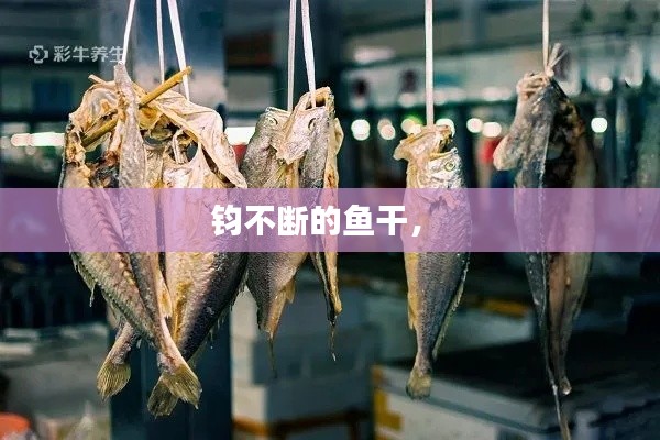 钧不断的鱼干,
