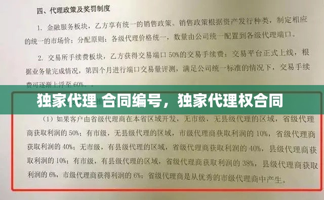 独家代理 合同编号,独家代理权合同