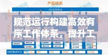 规范运行构建高效有序工作体系,提升工作效率与执行力