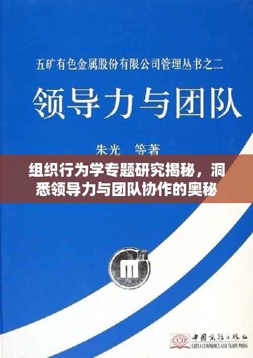 组织行为学专题研究揭秘,洞悉领导力与团队协作的奥秘