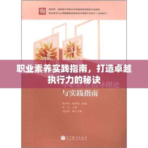职业素养实践指南,打造卓越执行力的秘诀