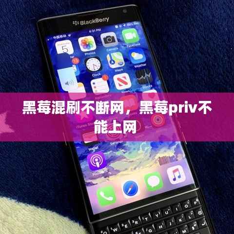 黑莓混刷不断网,黑莓priv不能上网