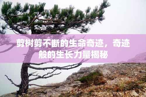 剪树剪不断的生命奇迹,奇迹般的生长力量揭秘