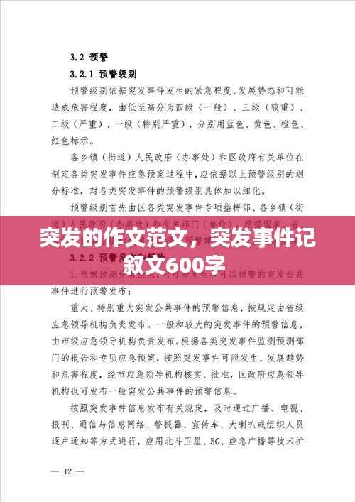 突发的作文范文,突发事件记叙文600字