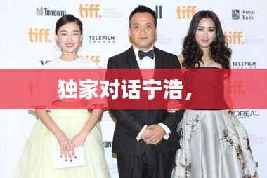 独家对话宁浩,