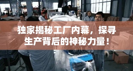 独家揭秘工厂内幕,探寻生产背后的神秘力量!