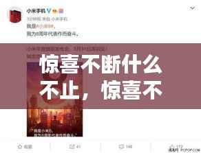 惊喜不断什么不止,惊喜不断打一个数字