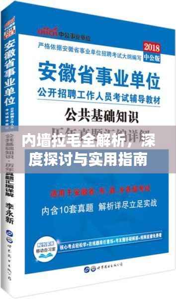 内墙拉毛全解析,深度探讨与实用指南
