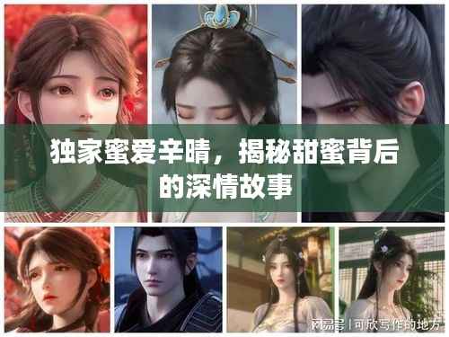 独家蜜爱辛晴,揭秘甜蜜背后的深情故事