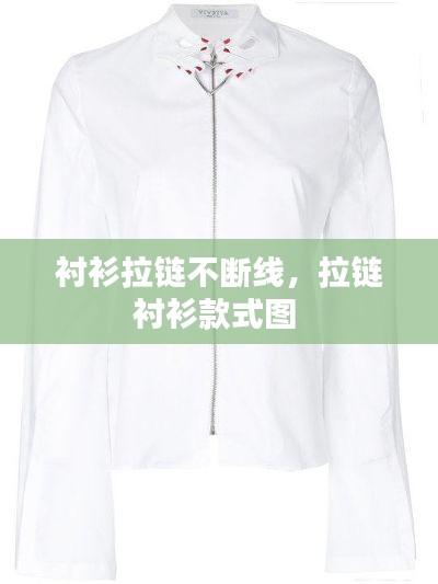 衬衫拉链不断线,拉链衬衫款式图