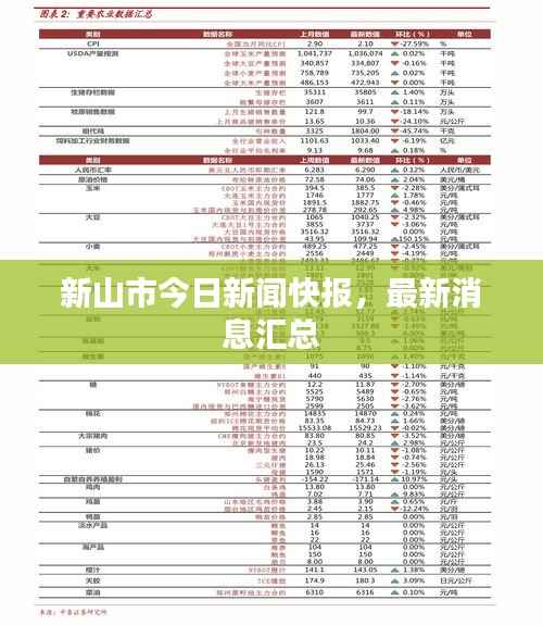 新山市今日新闻快报,最新消息汇总