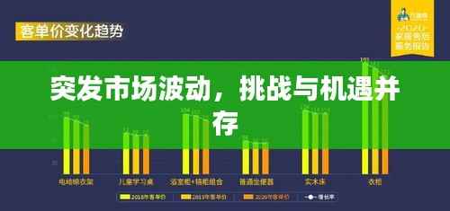 突发市场波动,挑战与机遇并存