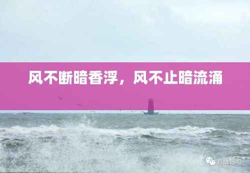 风不断暗香浮,风不止暗流涌