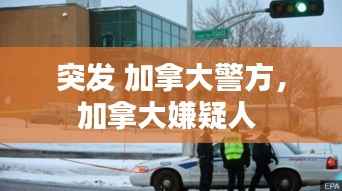 突发 加拿大警方,加拿大嫌疑人