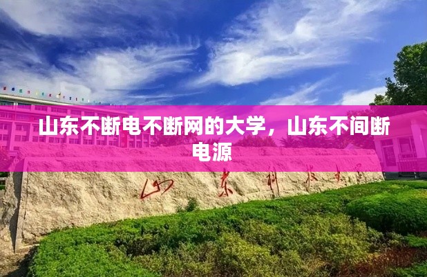 山东不断电不断网的大学,山东不间断电源