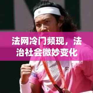 法网冷门频现,法治社会微妙变化揭秘