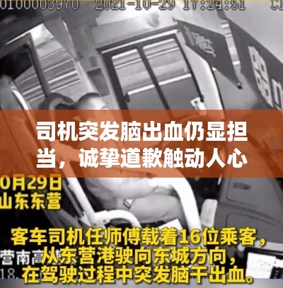 司机突发脑出血仍显担当,诚挚道歉触动人心