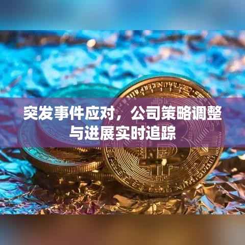 突发事件应对,公司策略调整与进展实时追踪