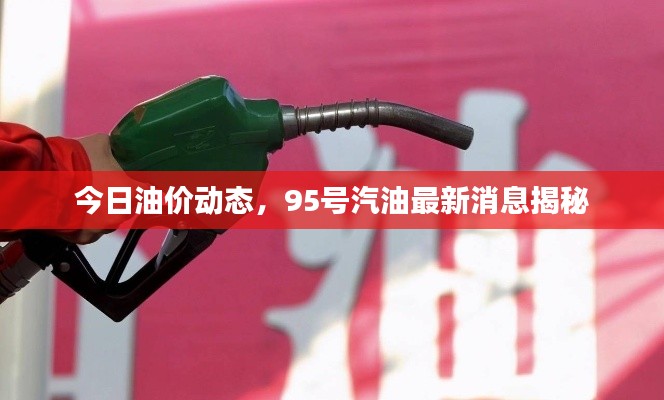 今日油价动态,95号汽油最新消息揭秘