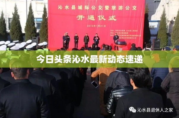 今日头条沁水最新动态速递