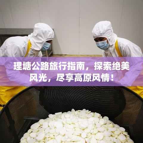 理塘公路旅行指南,探索绝美风光,尽享高原风情!