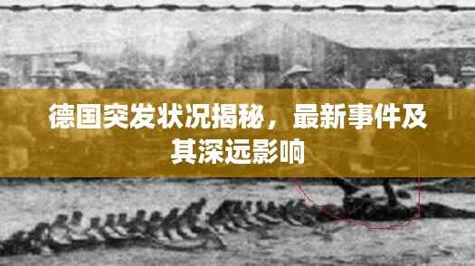 德国突发状况揭秘,最新事件及其深远影响