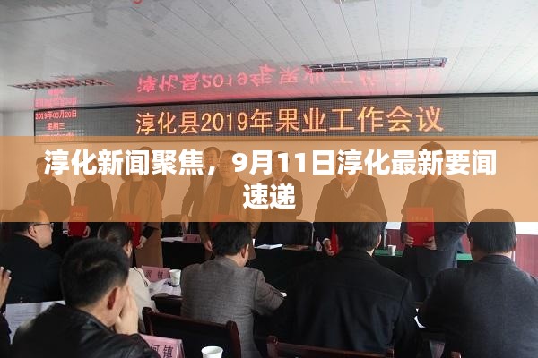 淳化新闻聚焦,9月11日淳化最新要闻速递