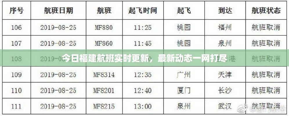 今日福建航班实时更新,最新动态一网打尽