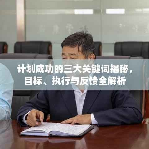 计划成功的三大关键词揭秘,目标、执行与反馈全解析