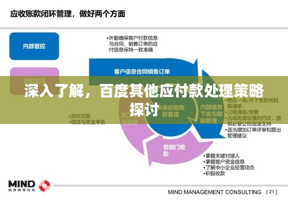 深入了解,百度其他应付款处理策略探讨