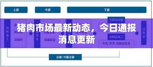 猪肉市场最新动态,今日通报消息更新
