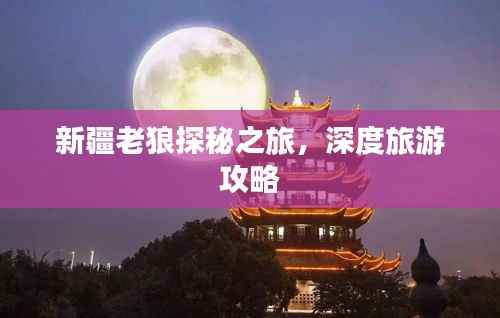 新疆老狼探秘之旅,深度旅游攻略