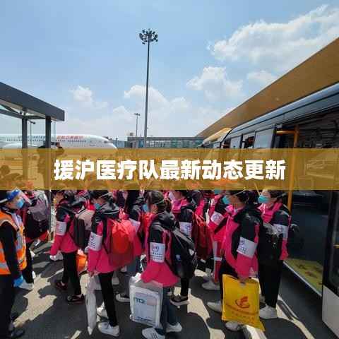 援沪医疗队最新动态更新