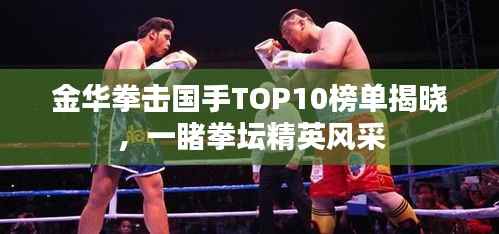 金华拳击国手TOP10榜单揭晓,一睹拳坛精英风采