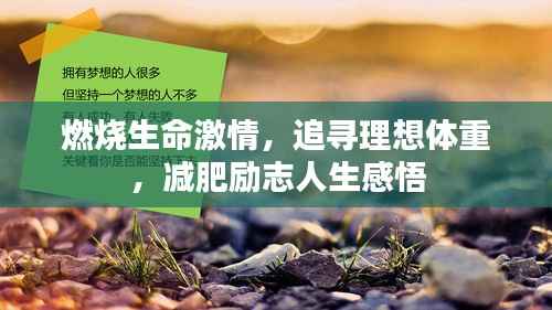 燃烧生命激情,追寻理想体重,减肥励志人生感悟