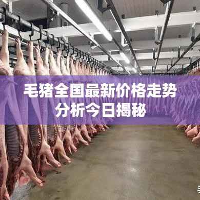 毛猪全国最新价格走势分析今日揭秘