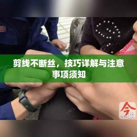 剪线不断丝,技巧详解与注意事项须知