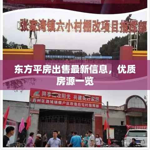 东方平房出售最新信息,优质房源一览
