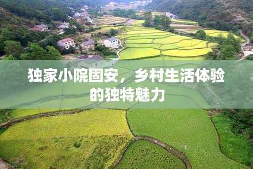 张皇失措 第3页