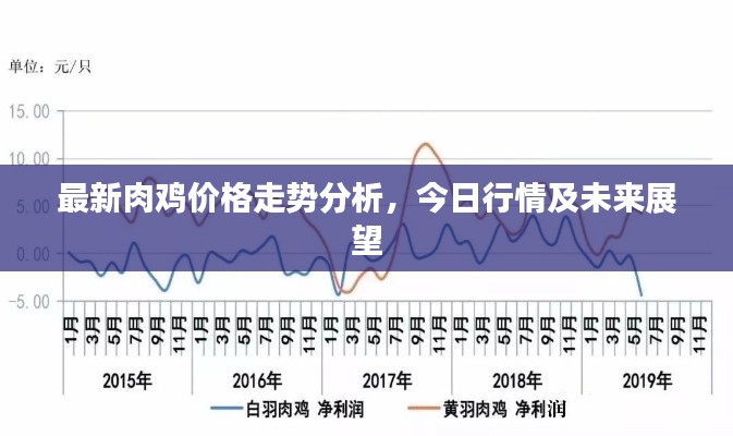 最新肉鸡价格走势分析，今日行情及未来展望