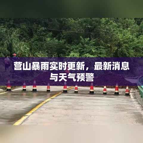 营山暴雨实时更新,最新消息与天气预警