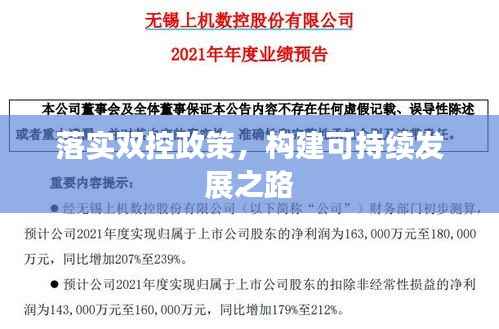 落实双控政策，构建可持续发展之路
