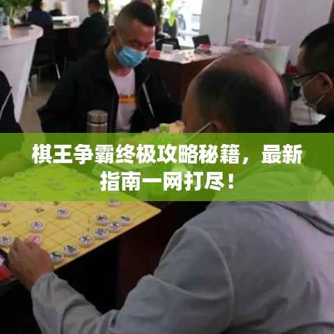 棋王争霸终极攻略秘籍，最新指南一网打尽！